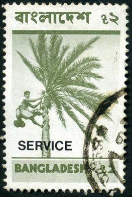 Bangladesh - 1981 - Oficial - Tamareira - 2Taka