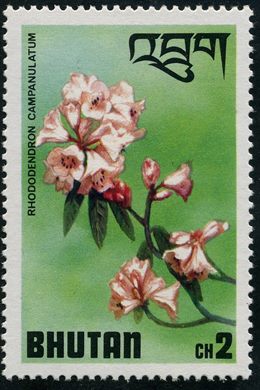 Butao - 1976 - Flora - Rhododendron campanulatum - 2Ch