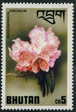 Butao - 1976 - Flora - Rhododendron arboreum - 5Ch