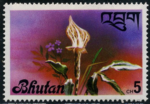 Butao - 1976 - Flora - Arisaema sp - 5Ch