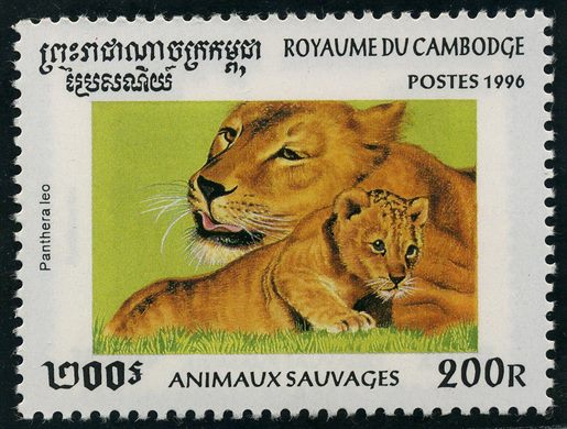 Camboja - 1996 - Animais Selvagens - Panthera leo - 200R