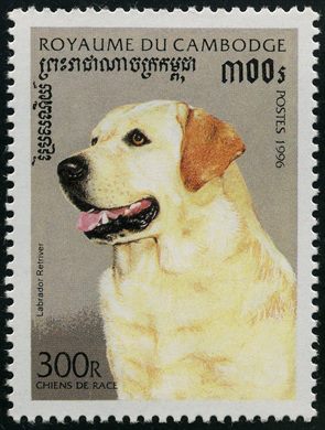 Camboja - 1996 - Caes de Raca - Labrador Retriever - 300R