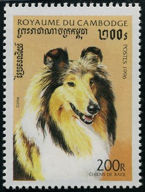 Camboja - 1996 - Caes de Raca - Collie - 200R