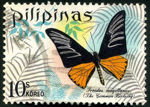 Filipinas - 1969 - Fauna Borboleta Troides magellanus Common Birdwing - 10C