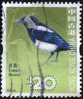 Hong Kong - 2006 - Aves - Pega Comum - 20D