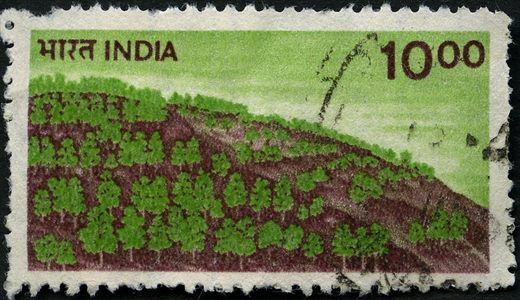 India - 2000 - Serie Definitiva Reflorestacao - 10R