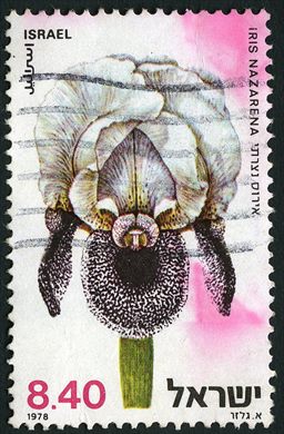 Israel - 1978 - Flores Iris Nazarena - 8.40L
