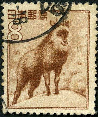 Japao - 1952 - Fauna Serow Japones - 8Y