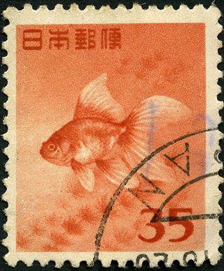 Japao - 1955 - Fauna Peixe Dourado - 35Y