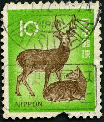 Japao - 1971 - Animais Plantas e Tesouros Nacionais Veados - 10Y