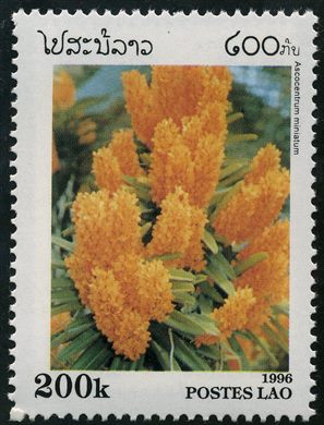 Laos - 1996 - Orquideas - Ascocentrum Miniatum - 200K