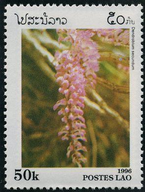 Laos - 1996 - Orquideas - Dendrobium Secundum - 50K