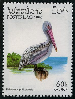 Laos - 1996 - Fauna - Pelecanus Philippensis - 60K