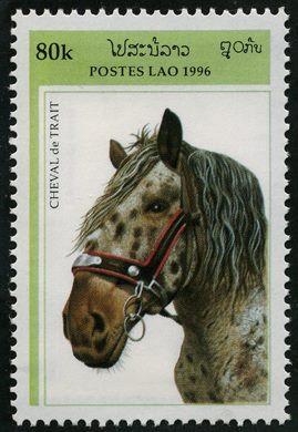 Laos - 1996 - Cavalo de Tiro - 80K
