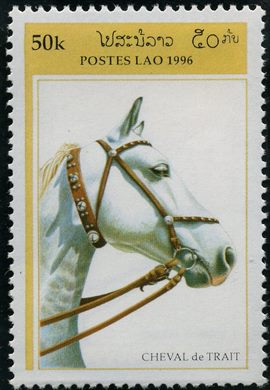 Laos - 1996 - Cavalo de Tiro - 50K