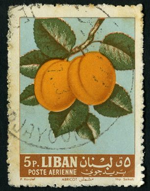 Libano - 1962 - Frutos - Damasco - 5P