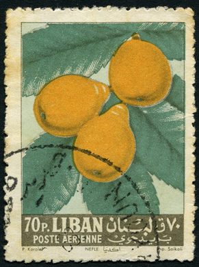 Libano - 1962 - Frutos - Nespera - 70P