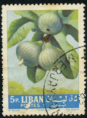 Libano - 1962 - Frutos - Figo - 5P