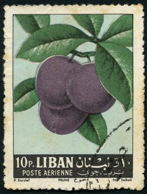 Libano - 1962 - Frutos - Ameixa - 10P
