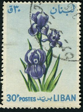 Libano - 1964 - Iris - 30P