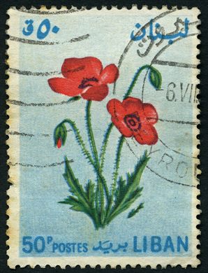 Libano - 1964 - Flores - Papoila - 50P