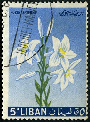 Libano - 1964 - Flores - Lirio - 5P