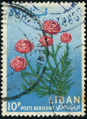 Libano - 1964 - Flores - Rosas - 10P