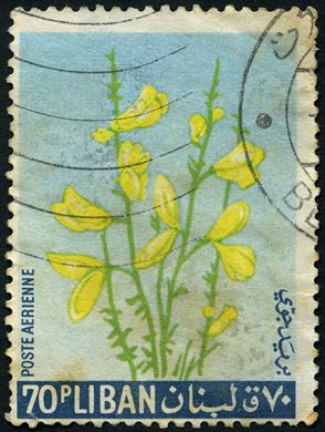 Libano - 1964 - Flores - Giesta - 70P