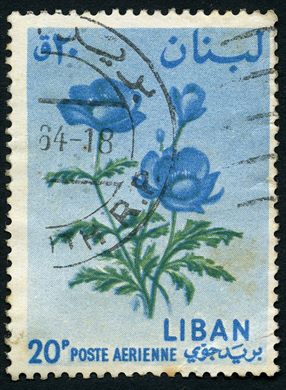 Libano - 1964 - Flores - Anemona - 20P