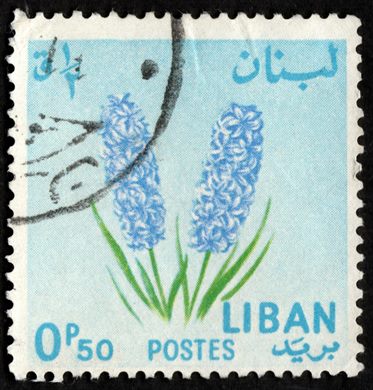 Libano - 1964 - Flores - Jacinto - 0.50P