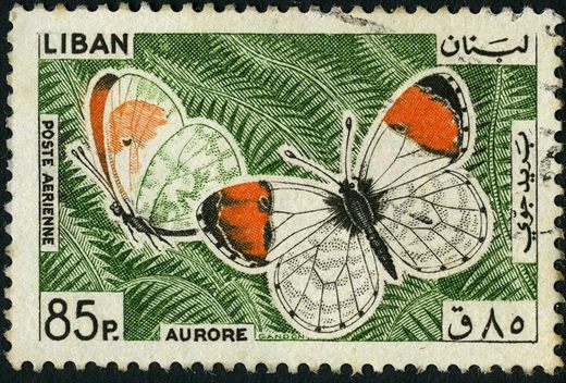 Libano - 1965 - Correio Aereo Borboletas - Aurore - 85Pia