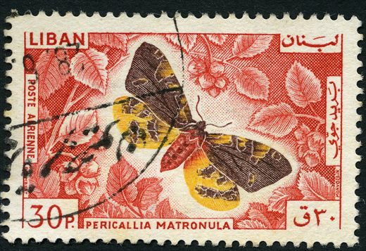 Libano - 1965 - Correio Aereo Borboletas - Pericallia Matronula - 30Pia