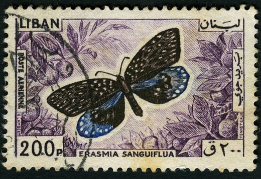 Libano - 1965 - Correio Aereo Borboletas - Erasmia Sanguiflua - 200Pia