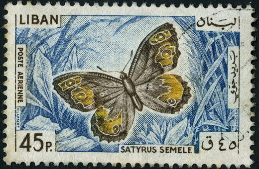 Libano - 1965 - Correio Aereo Borboletas - Satyrus Semele - 45Pia