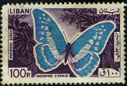 Libano - 1965 - Correio Aereo Borboletas - Morpho Cypris - 100Pia
