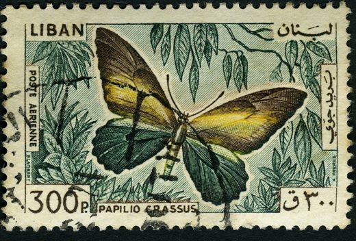 Libano - 1965 - Correio Aereo Borboletas - Papilio Crassus - 300Pia