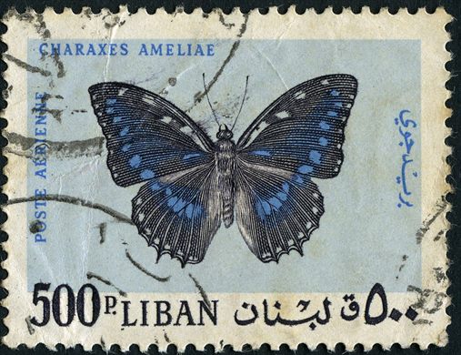 Libano - 1965 - Correio Aereo Borboletas - Charaxes Ameliae - 500Pia