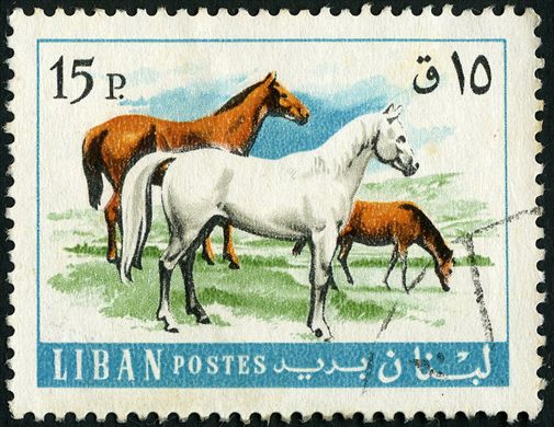 Libano - 1965 - Animais Domesticos - Cavalos - 15Pia