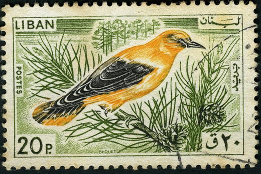 Libano - 1965 - Aves - Bequet - 20Pia