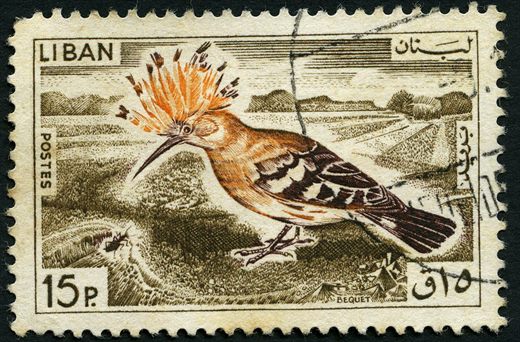 Libano - 1965 - Aves - Bequet Poupa - 15Pia