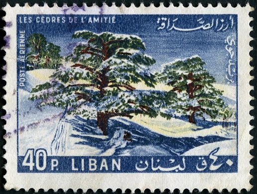 Libano - 1965 - Correio Aereo - Cedros da Amizade - 40Pia