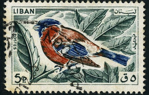 Libano - 1965 - Aves - Bequet - 5Pia
