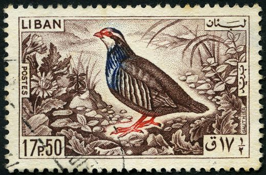 Libano - 1965 - Aves - Perdiz - 17.5Pia