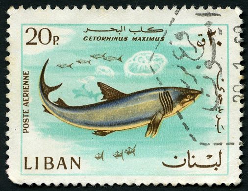 Libano - 1968 - Correio Aereo Fauna Marinha - Cetorhinus Maximus - 20Pia