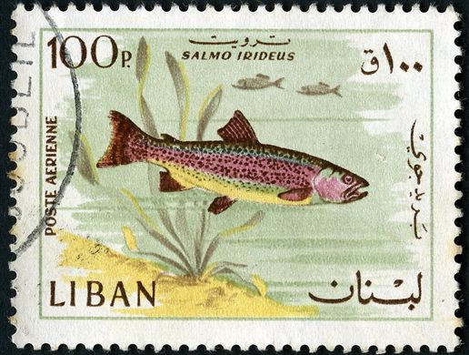 Libano - 1968 - Correio Aereo Fauna Marinha - Salmo Irideus - 100Pia