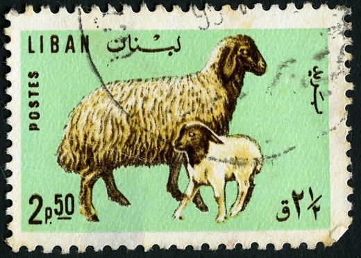 Libano - 1968 - Animais Domesticos - Ovelha - 2.5Pia