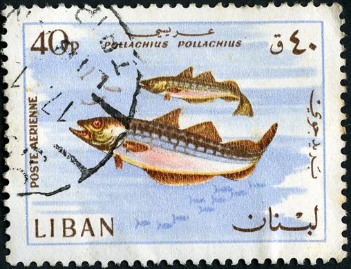 Libano - 1968 - Correio Aereo Fauna Marinha - Pollachius Pollachius - 40Pia