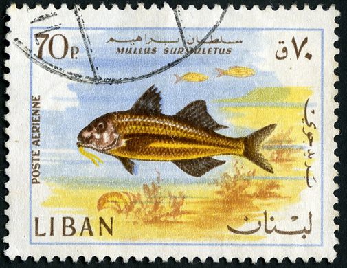 Libano - 1968 - Correio Aereo Fauna Marinha - Mullus Surmuletus - 70Pia