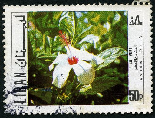 Libano - 1971 - Plan Vert - 50P