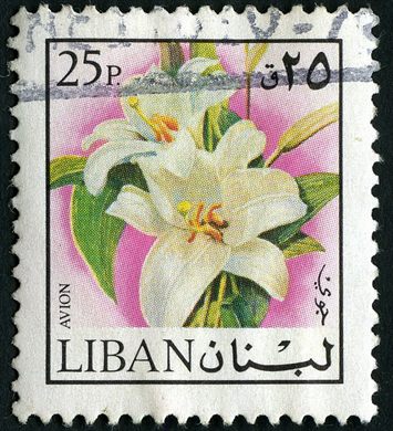 Libano - 1973 - Flores - Lirio - 25P